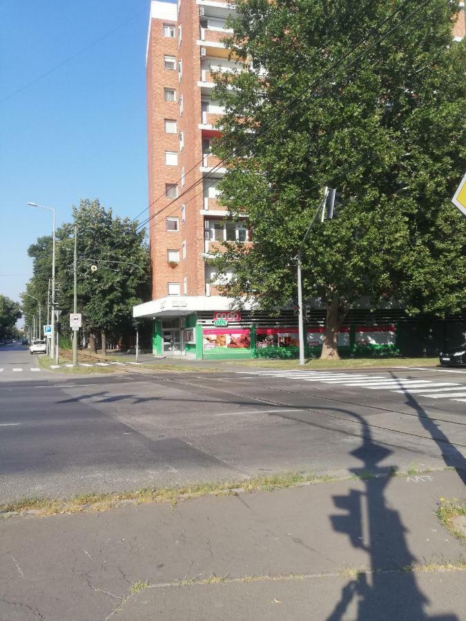 Ferienwohnung Kis Becsi Apartman Szegedin Exterior foto